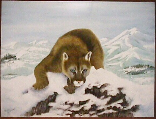 Cougar on a Snowy hillside - Painted by Betty Gerstner, on a Porcelain Steel Plak