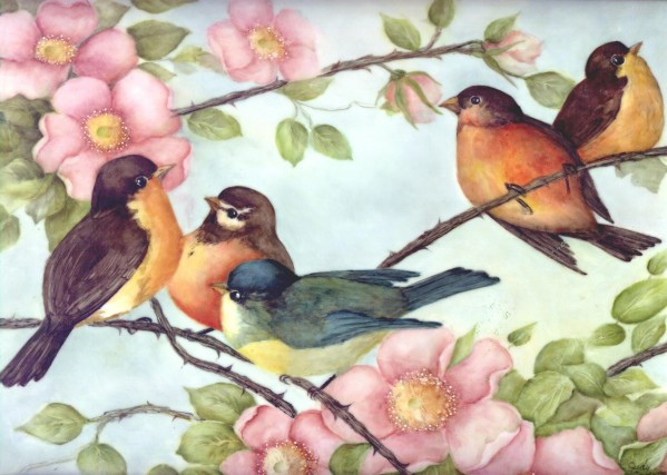 Fantasy Birds Painted by Judy Coventry