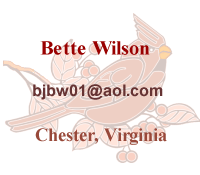 Bette Wilson