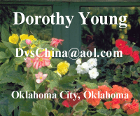 Dorothy Young - The China Shoppe