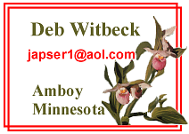 Deb Witbeck