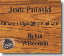 Judi Pulaski - Raccoon Ridge Studio