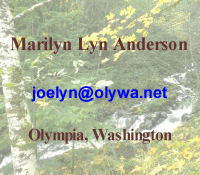 Marilyn Lyn Anderson - My Corner for Porcelain Art