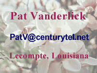 Pat Vanderlick